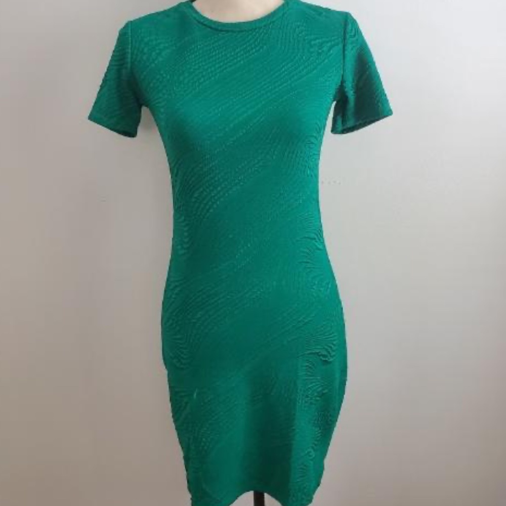 Zara Trafaluc Dress